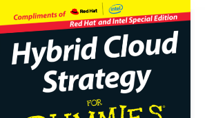 hybrid cloud strategies for dummies e-book