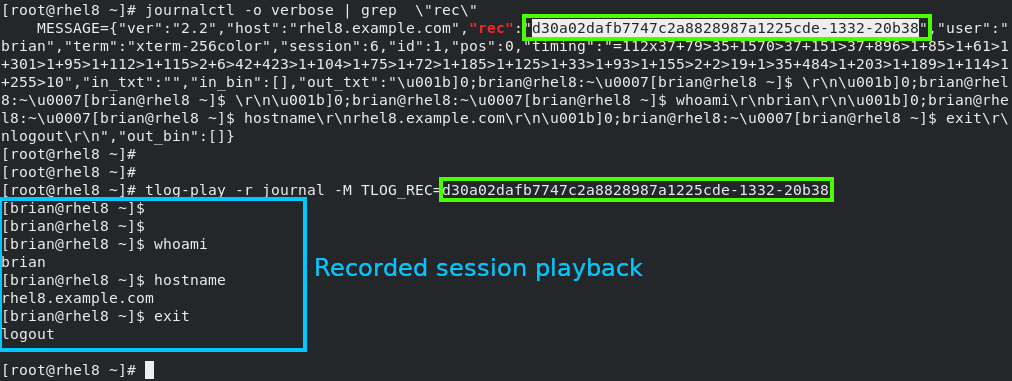 Terminal-based session playback