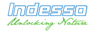 indesso logo