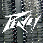 Peavey logo on image of soundboard