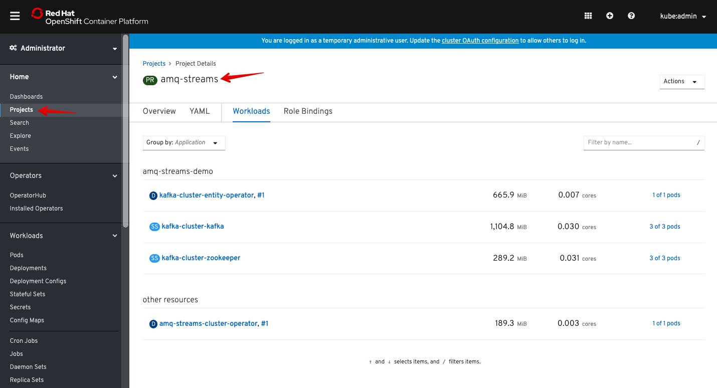 Figure 10: View logs from the OpenShift Console