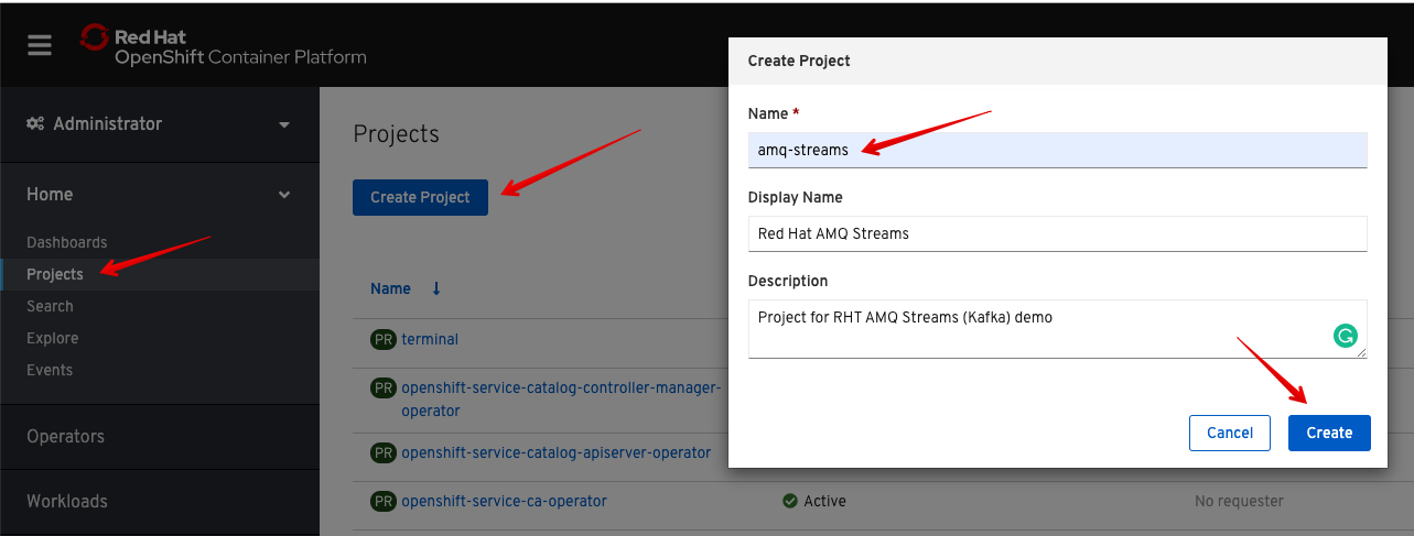 Figure 11: view logs from the OpenShift Console