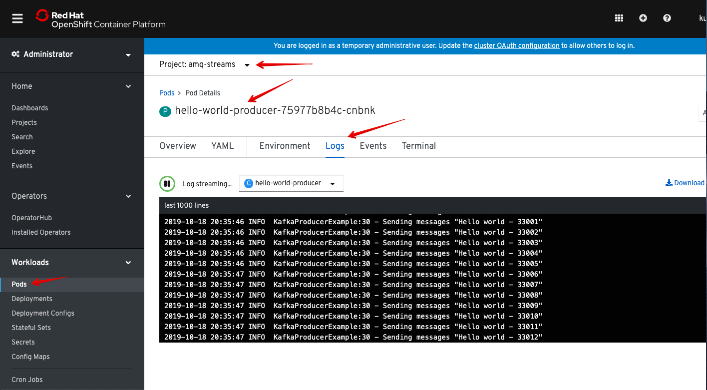 Figure 4: Creating a new project called amq-streams