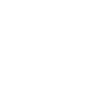 A white shield icon with a checkmark, representing successful security