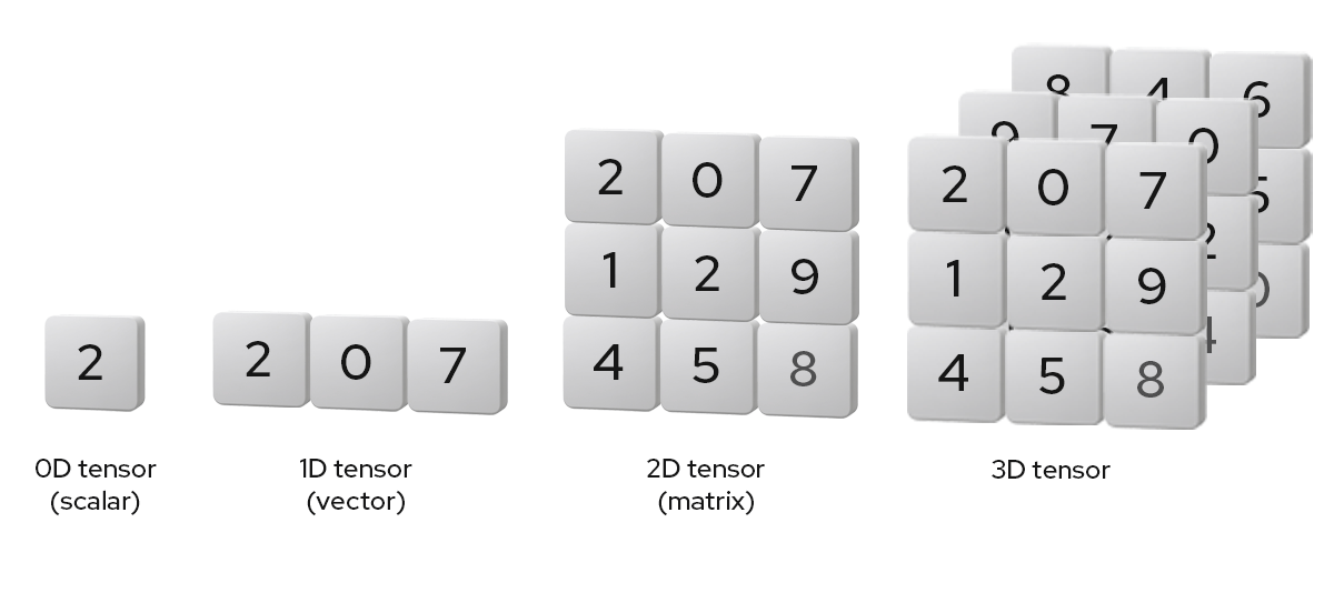 0D, 1D, 2D, and 3D tensor A diagram illustrating tensors from 0D to 3D as a scalar, a vector, a matrix, and a cube