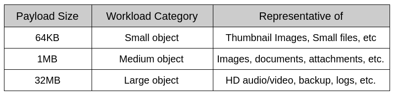 Table 4: Payload tested