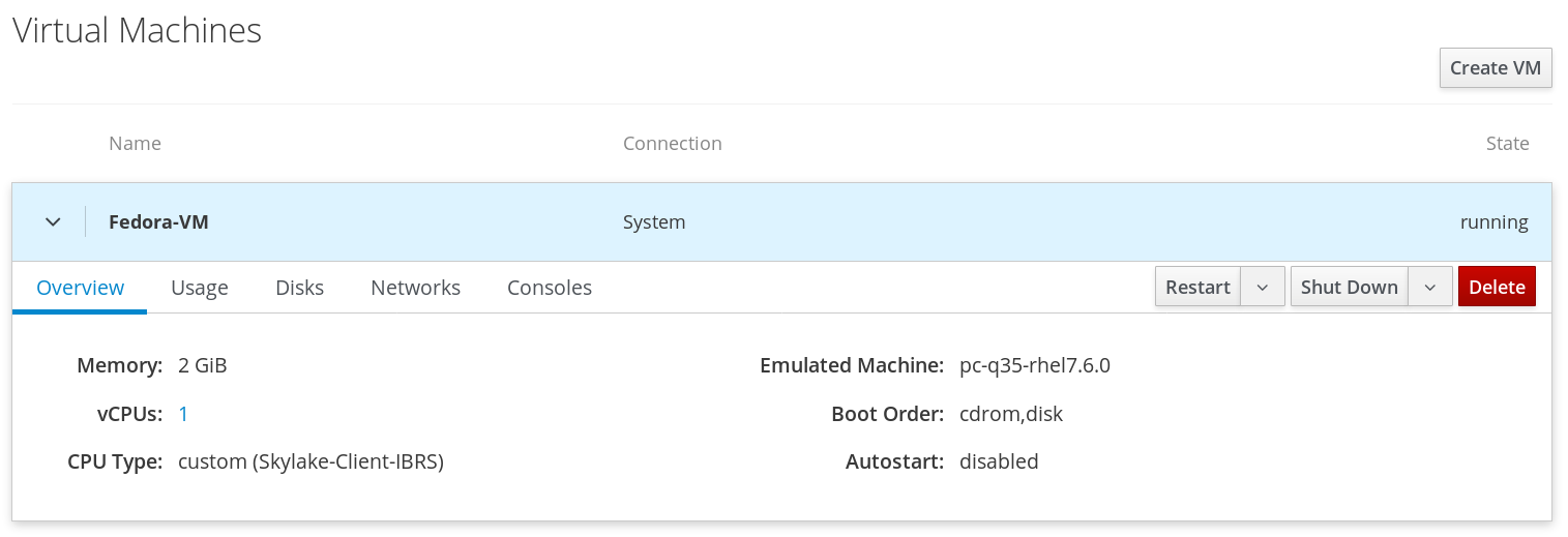 Figure 4: Viewing Virtual Machine in Web Console