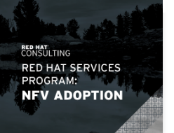 Red Hat services program: NFV Adoption