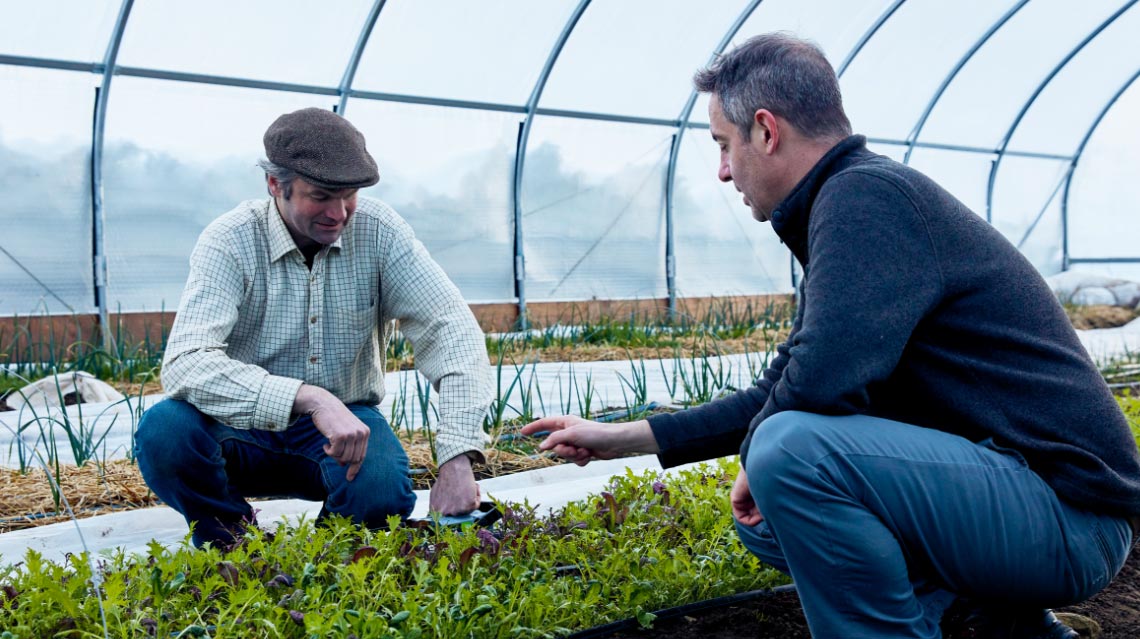 dorn cox inspecting crops