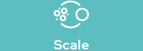Scale