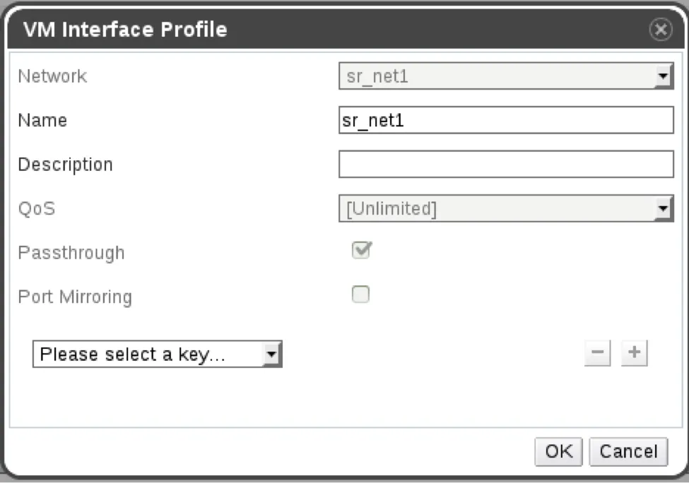 VM Interface Profile