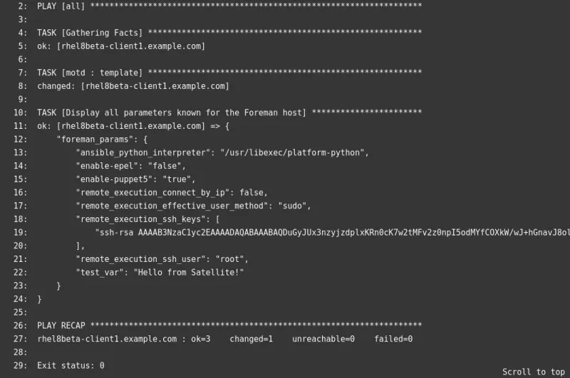 Additional details about the playbook run