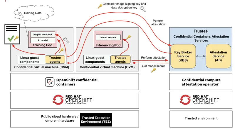 similarities between the two model phases