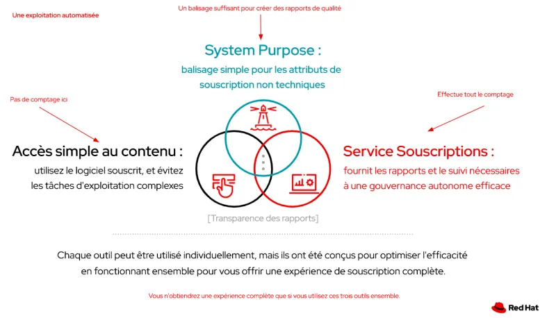 FR rhel-simple-content-access-img2-fr.png