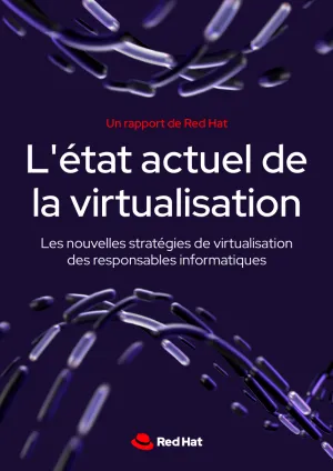 L'état actuel de la virtualisation