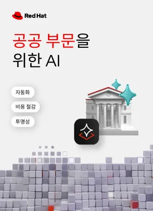 공공 부문을 위한 AI_KO
