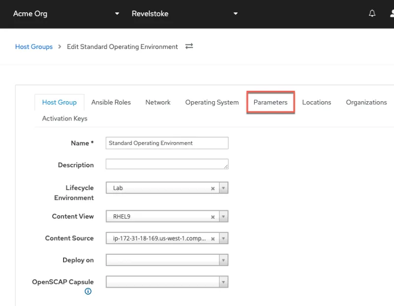 Red Hat Satellite screenshot showing the Host Group details