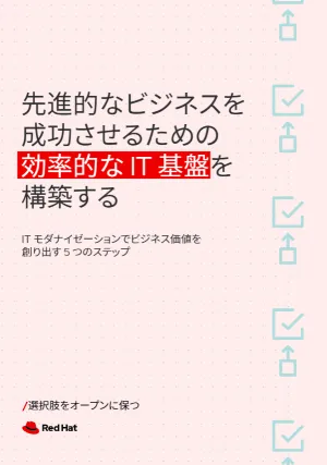 先進的なビジネスを成功させるための効率的な IT 基盤を構築する