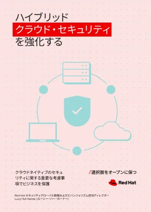 ハイブリッドクラウド・セキュリティを強化する