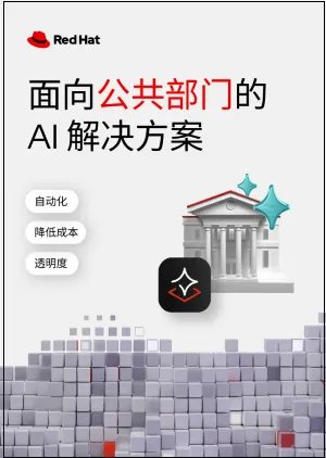 面向公共部门的 AI 解决方案