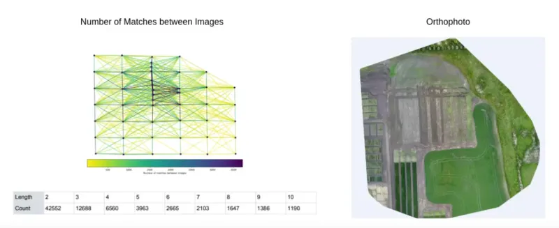 Figure 4: Drone images used for precision weed spraying