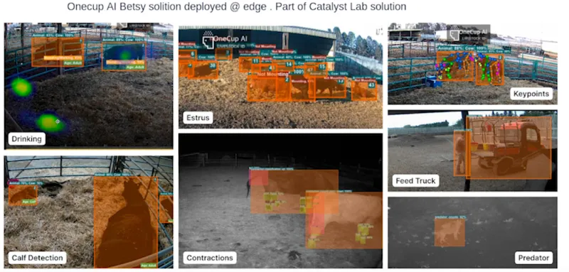 Figure 5: Animal video analytics