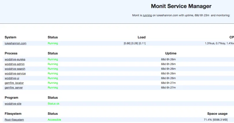 Screenshot of the Monit Service Manager