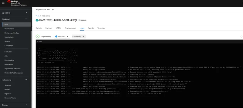 Screenshot of an OpenShift Workload Pod details screen