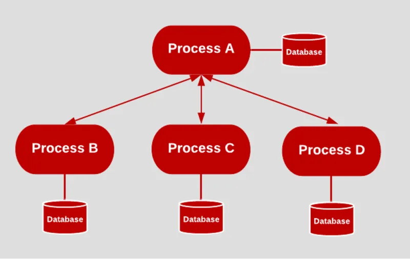 processes principle
