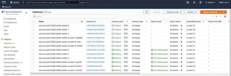 Available versus hibernated clusters on AWS EC2