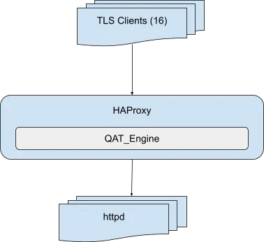 Illustration of TLS Clients > HAProxy > httpd