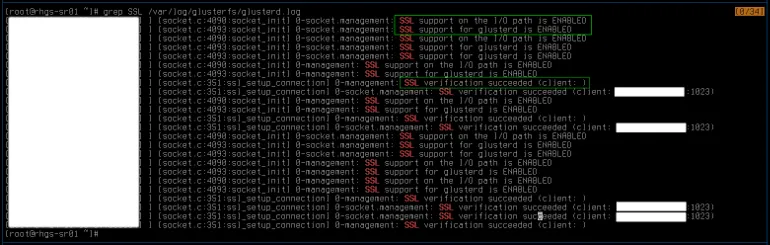 Looking at gluster logs