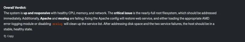 Screenshot showing a summary of the top issues on the system