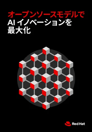 オープンソースモデルで AI イノベーションを最大化