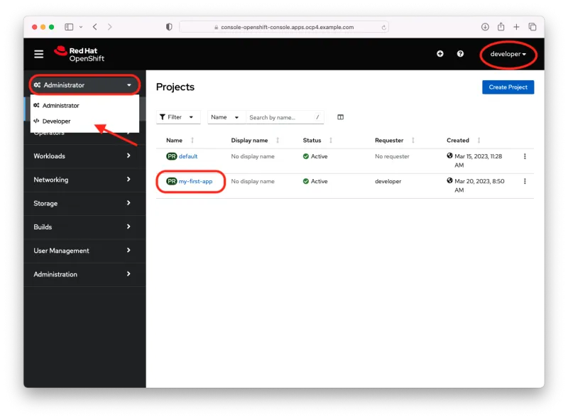 Projects view OpenShift Console