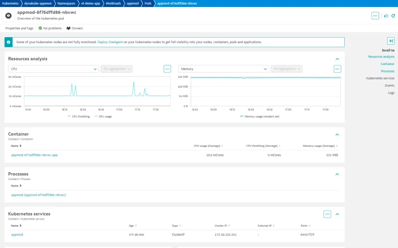 dynatrace-pod-details