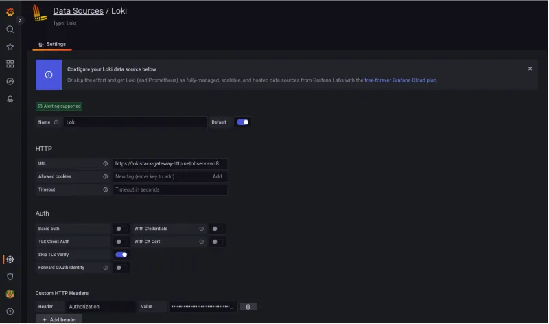 Screenshot of loki data source