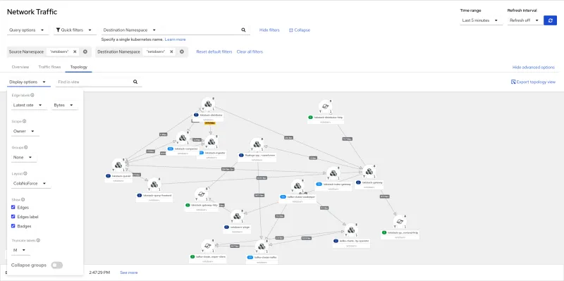 Screenshot of topology netobserv owner