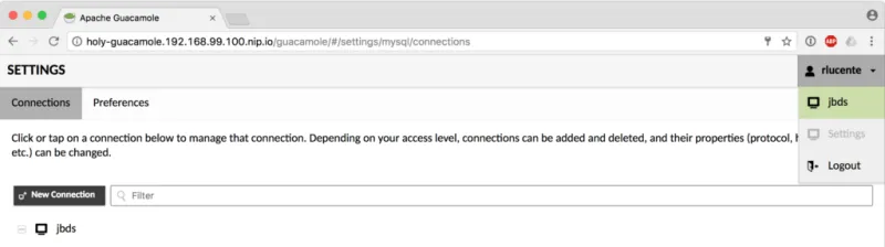 Guacamole JBDS Connection
