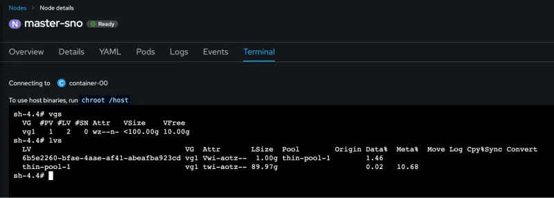 Persistent data on OpenShift: Screenshot of a terminal running vgs and lvs comments