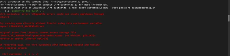 Error you see when you run virt-customize