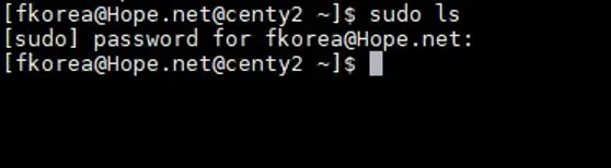 Success use of sudo displaying the requested information
