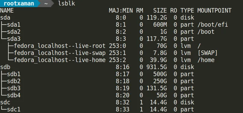 Out of the lsblk command, displaying multiple drives, each with multiple partitions