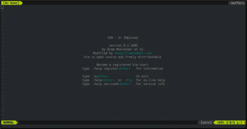 Vim opening page