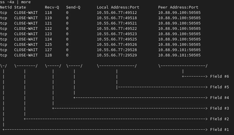 Fields from ss example