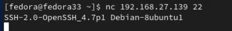 nc result displaying OpenSSH version information
