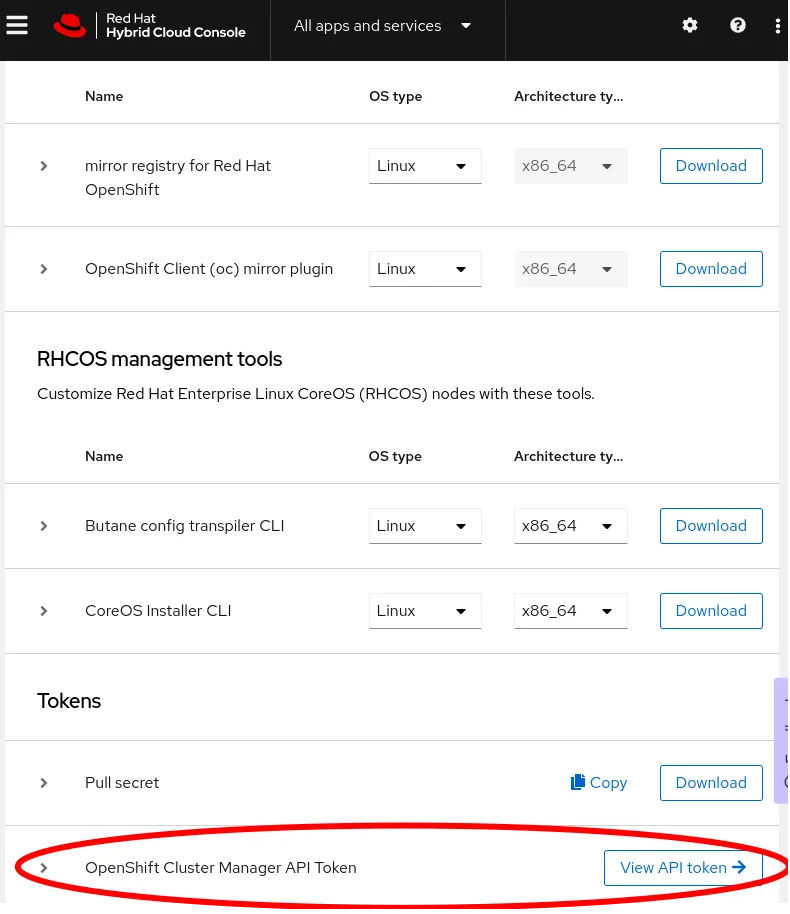 Console downloads token