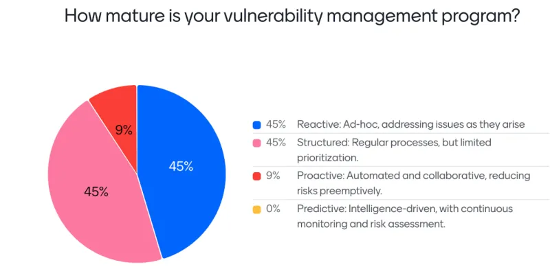 vulnerability management