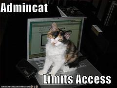 Admin Cat