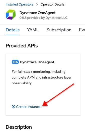 dynatrace oneagent create instance